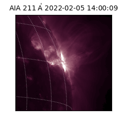 saia - 2022-02-05T14:00:09.626000