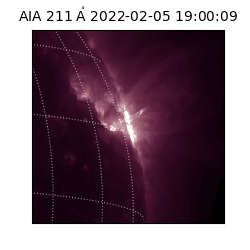 saia - 2022-02-05T19:00:09.632000