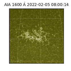 saia - 2022-02-05T08:00:14.126000