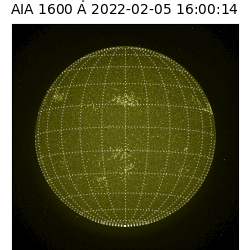 saia - 2022-02-05T16:00:00