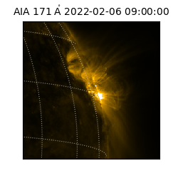 saia - 2022-02-06T09:00:00.991000