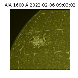 saia - 2022-02-06T09:03:02.122000