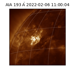 saia - 2022-02-06T11:00:04.843000