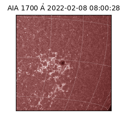 saia - 2022-02-08T08:00:28.739000