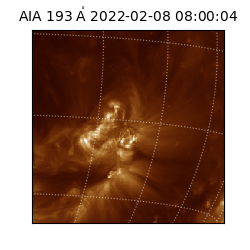 saia - 2022-02-08T08:00:04.843000
