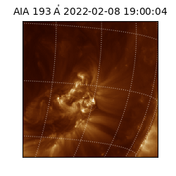 saia - 2022-02-08T19:00:04.846000