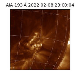 saia - 2022-02-08T23:00:04.843000