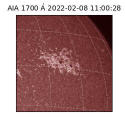 saia - 2022-02-08T11:00:28.738000