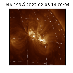 saia - 2022-02-08T14:00:04.846000