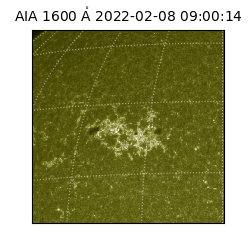 saia - 2022-02-08T09:00:14.117000