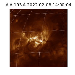 saia - 2022-02-08T14:00:04.846000