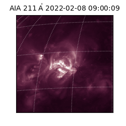 saia - 2022-02-08T09:00:09.616000