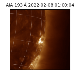saia - 2022-02-08T01:00:04.843000