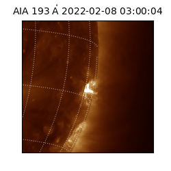 saia - 2022-02-08T03:00:04.843000