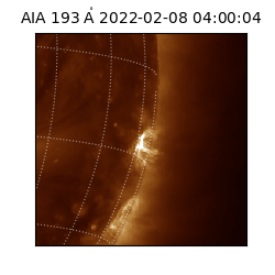saia - 2022-02-08T04:00:04.843000