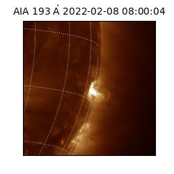 saia - 2022-02-08T08:00:04.843000
