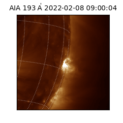 saia - 2022-02-08T09:00:04.835000