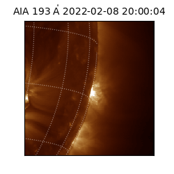 saia - 2022-02-08T20:00:04.843000