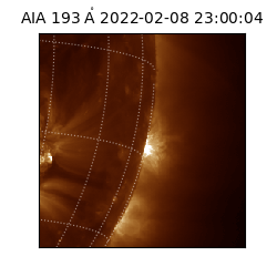 saia - 2022-02-08T23:00:04.843000