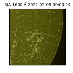 saia - 2022-02-09T09:00:14.126000