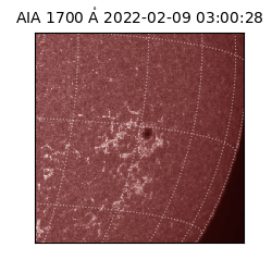 saia - 2022-02-09T03:00:28.745000