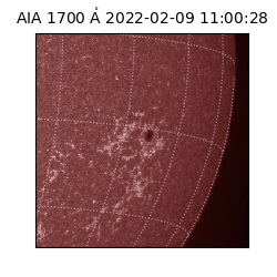 saia - 2022-02-09T11:00:28.745000