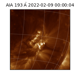 saia - 2022-02-09T00:00:04.846000