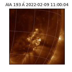 saia - 2022-02-09T11:00:04.843000