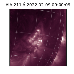 saia - 2022-02-09T09:00:09.627000