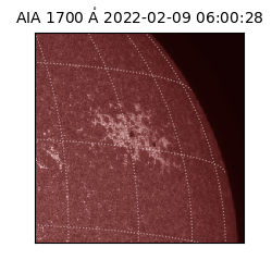 saia - 2022-02-09T06:00:28.746000