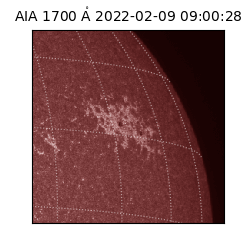 saia - 2022-02-09T09:00:28.745000