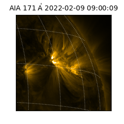 saia - 2022-02-09T09:00:09.350000