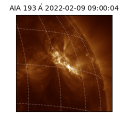 saia - 2022-02-09T09:00:04.843000
