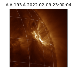 saia - 2022-02-09T23:00:04.843000