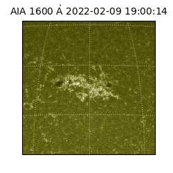 saia - 2022-02-09T19:00:14.126000
