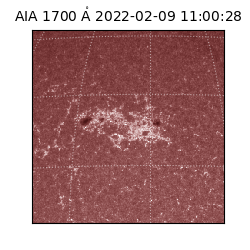 saia - 2022-02-09T11:00:28.745000