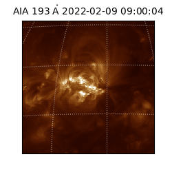 saia - 2022-02-09T09:00:04.843000