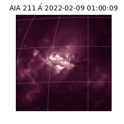 saia - 2022-02-09T01:00:09.622000