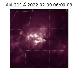 saia - 2022-02-09T06:00:09.633000