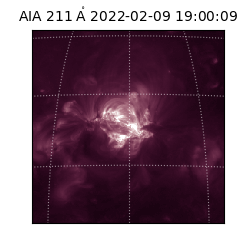 saia - 2022-02-09T19:00:09.626000