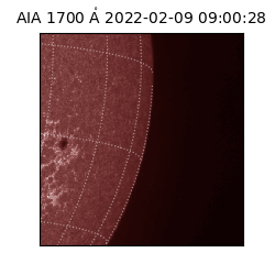 saia - 2022-02-09T09:00:28.745000