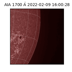 saia - 2022-02-09T16:00:28.739000