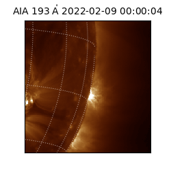 saia - 2022-02-09T00:00:04.846000