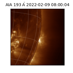 saia - 2022-02-09T08:00:04.843000