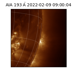 saia - 2022-02-09T09:00:04.843000