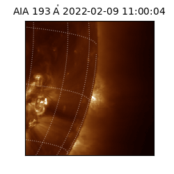 saia - 2022-02-09T11:00:04.843000