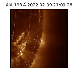 saia - 2022-02-09T21:00:28.843000