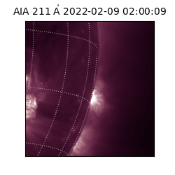 saia - 2022-02-09T02:00:09.630000