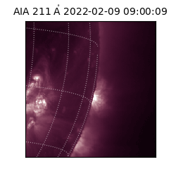 saia - 2022-02-09T09:00:09.627000