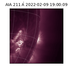 saia - 2022-02-09T19:00:09.626000
